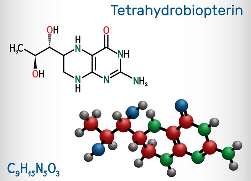 Tetrahydrobiopterin, BH4, THB, sapropterin molecule. It has role as coenzyme, diagnostic agent, human metabolite, cofactor. Structural chemical formula and molecule model