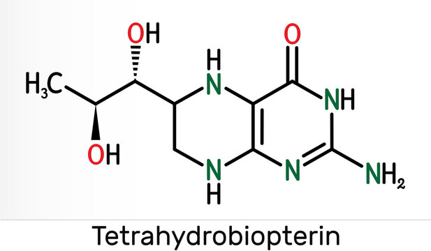 Tetrahydrobiopterin, BH4, THB, sapropterin molecule. It has role as coenzyme, diagnostic agent, human metabolite, cofactor. Skeletal chemical formula