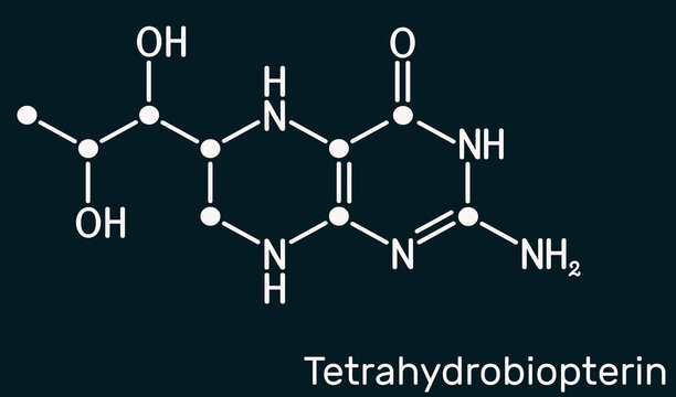 Tetrahydrobiopterin, BH4, THB, sapropterin molecule. It has role as coenzyme, diagnostic agent, human metabolite, cofactor. Skeletal chemical formula on the dark blue background