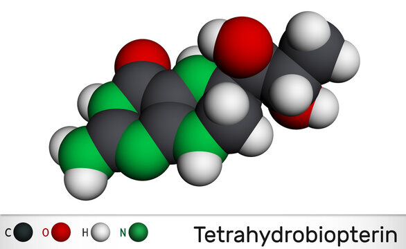 Tetrahydrobiopterin, BH4, THB, sapropterin molecule. It has role as coenzyme, diagnostic agent, human metabolite, cofactor. Molecular model