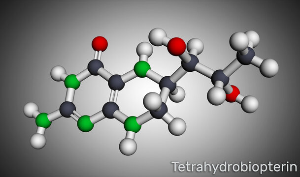 Tetrahydrobiopterin, BH4, THB, sapropterin molecule. It has role as coenzyme, diagnostic agent, human metabolite, cofactor. Molecular model
