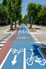 Bicycle Path by Morning in the City at Summer with Elm Trees