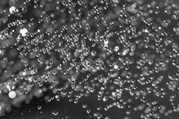 Falling water drops - rain in macro detail