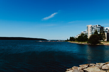 view of the lake from the beach