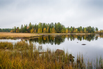 Autumn waterscape on Ladoga lake