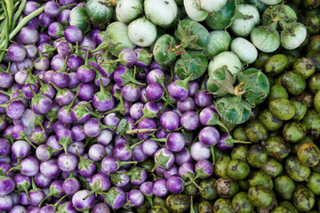 Eggplant varieties for sale in market, Laos