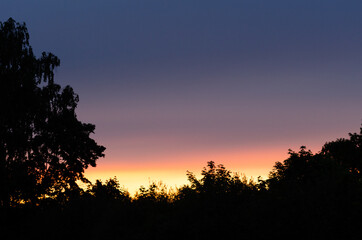 Fototapeta na wymiar sunset sky and trees in summer
