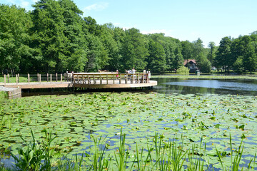 ZELENOGRADSK, RUSSIA - JUNE 25, 2020: Round observation deck on Tortilin Pond in a city park on a...