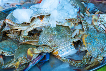 Fresh seafood on the counter at the fish market by the ocean.
