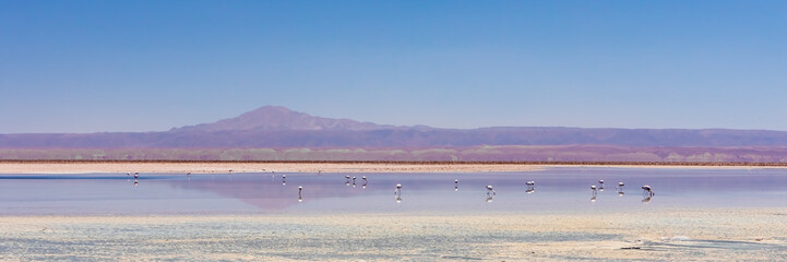 Laguna Chaxa, Atacama Desert, Chile.