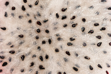 dragon fruit seeds texture and background. black-white