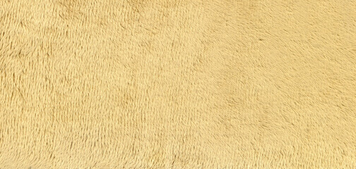 yellow paper texture
