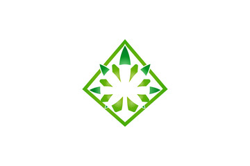 shining ray abstract enligment marijuanna