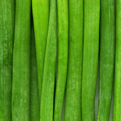 fresh green beans