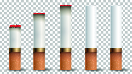 a set of cigarette 3d .Cigarettes set with white and brown filters.