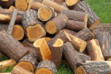 Firewood on the street stacked beautifully in the yard.