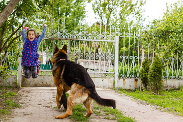 Pretty little girl, Gives a command to sit to german shepherd dog.