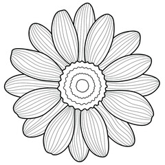 Daisy flower.Coloring book antistress for children and adults. Illustration isolated on white background.Zen-tangle style.Black and white drawing.