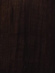 Fototapeta premium background of an old tree