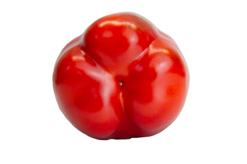 One red bell pepper with the bottom facing the lens, isolated on a white background.