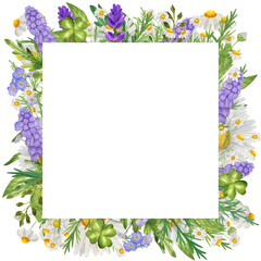 Square Watercolor frame with wildflowers, daisies, grass. Isolate on white. For invitations, business cards, banners.