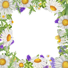 Square Watercolor frame with wildflowers, daisies, grass. Isolate on white. For invitations, business cards, banners.