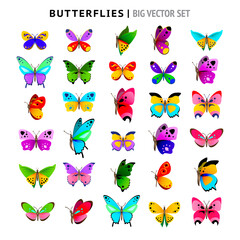 Set of colorful butterflies