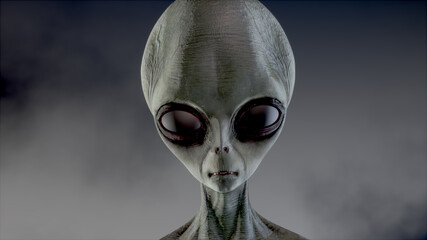 Scary gray alien walks and looks blinking on a dark smoky background. UFO futuristic concept. 3D rendering. © merlin74