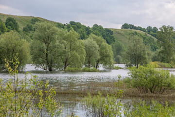Fototapeta na wymiar spring flood on the Stepnaya Zai river