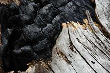 Burned off wood texture