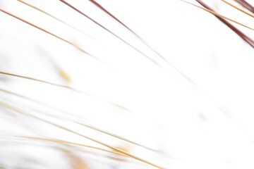 abstract grunge background with copy space