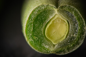 close up of a cut green bean