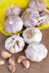 Garlic on a white background