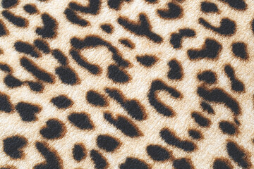 wild animal pattern background or texture, Leopard jungle theme print