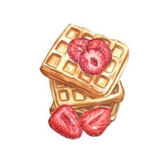 Watercolor illustration of Viennese waffles on a white background