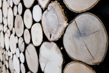 Close up view of cut wooden log. Unique circles from old trees. Creative modern interior design idea for home wall decor. Abstract closeup wood background texture in detail with rings and cracks.