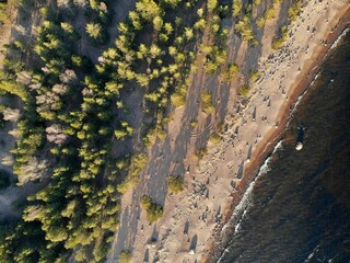 Aerial view from top down to sandy beach near pine forest and waves in ocean sea