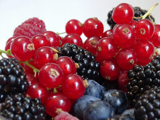 Assortiment fruits rouges, myrtilles, framboises, mures, cranberry