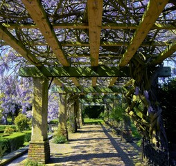 walkway in the park