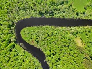 river bend Aerial view from top down at summer