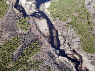 wide river with many channels at autumn or spring in green grey forest