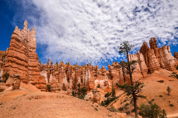 Bryce National Park Scenic View