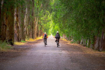 Two women riding bicycle among longer green trees