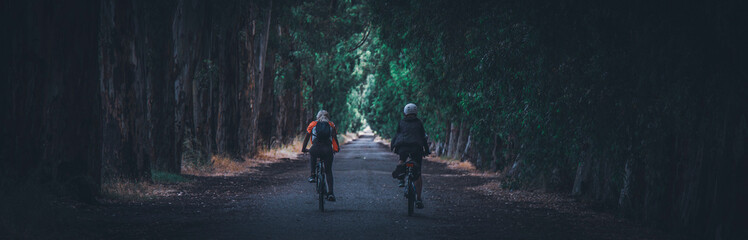 Two women riding bicycle among longer green trees