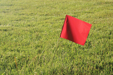 Red Flag with Shadow in Sunlit Field