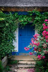 Fototapeta na wymiar old house with blue door and flowers at the entry