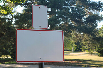 Two Blank Signs in Front of Tree