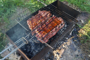 grilled meat on the grill