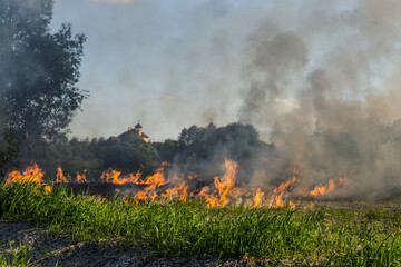 The grass burns in a meadow. Ecological catastrophy. Fire and smoke destroy all life.