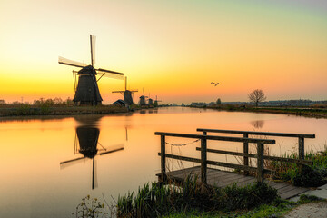 Fototapeta na wymiar Geese flying on a typical Dutch rural landscape along of the windmill alignement silhouettes at the early morning sunrise in Netherlands